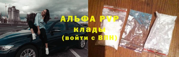 молекула духа Арсеньев
