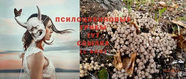 молекула духа Арсеньев