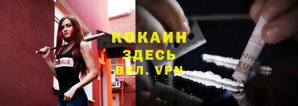 прущие грибы Сатка