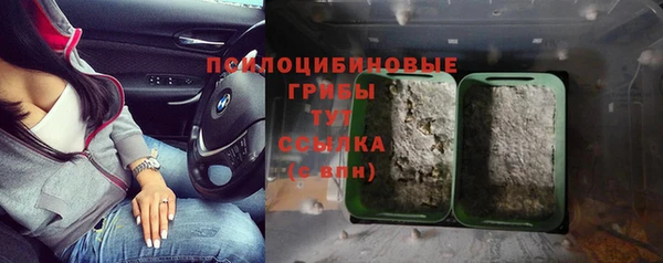 молекула духа Арсеньев