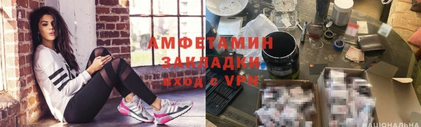 молекула духа Арсеньев