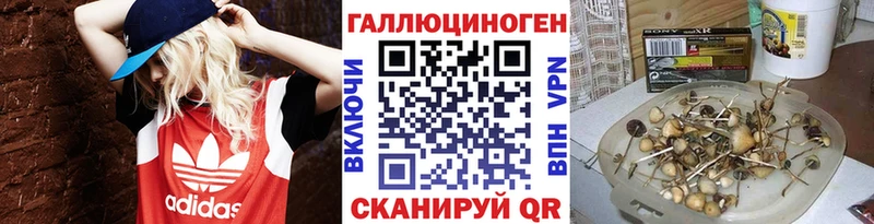 наркотики  blacksprut маркетплейс  Псилоцибиновые грибы прущие грибы  Урус-Мартан 